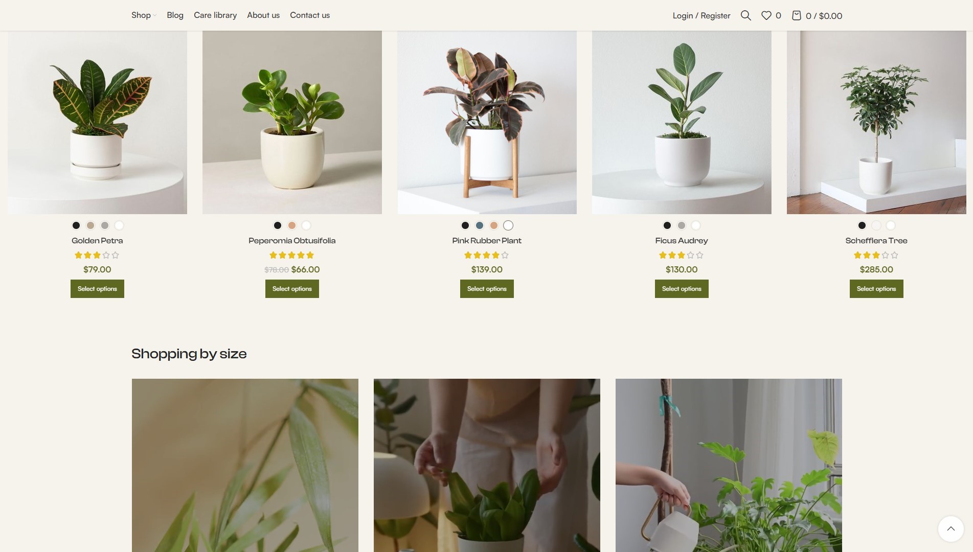 Plant Shop E-commerce-image